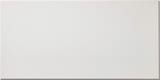 Pure White 12x24 Field Gloss