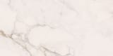 Apuano Oro 12x24 Field Rectified Natural