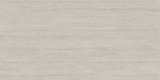 Coast 24x48 Veincut Field Rectified Honed