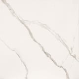 Statuario 24x24 Field Brushed