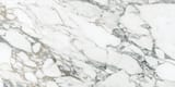 Arabescato Corchia 24x48 Field Rectified Honed