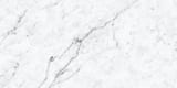 Carrara 12x24 Field Lappato
