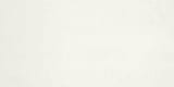 200 Cool Porcelain White 24x48 Field Smooth (V)