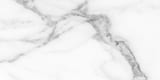 Statuario 12x24 Field Pressed Matte