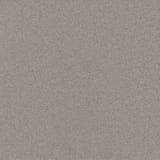 75053 Granulated Clay Grey 4x4 Field Smooth (S)