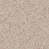 A233 Sand Bisque 6x6 Field Unpolished