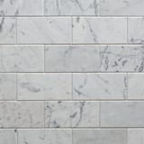 White Venatino 3x6 Field Honed