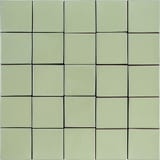 Aloe Vera 3x3 Field Gloss