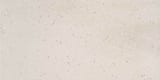 5102 Vivid White 12x24 Field Smooth (V)