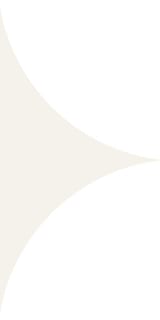 200 Cool Porcelain White 20x11 Circle Link E Field Smooth (V)