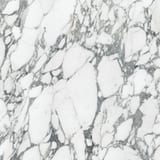 Arabescato Corchia 36x36 Field Rectified Honed
