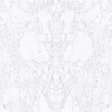 Arabescato Vagli 63x126 Bookmatch Sintered Slab Rectified Honed