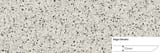 Dalmatian 32x96 Prefab Sharknose Edge Slab Matte