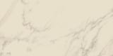 WBS01 Statuario White 12x24 Field Unpolished