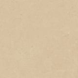 ARG01 Winter Garden 12x12 Field Unpolished