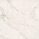 Apuano Oro 48x48 Field Rectified Natural