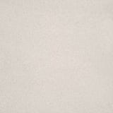 4101 Chalk White 24x24 Field Smooth (V)