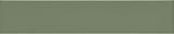 Sage 2x10 Warp Field Matte