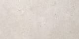 Light Grey 24x48 Field Natural