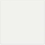 Canvas White 6x6 Field Pressed Gloss
