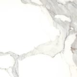 Calacatta 24x24 Field Lappato