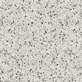 Dalmatian 48x48 Field Matte