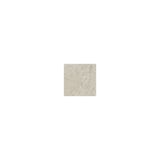 Ecru 1.3x1.3 Tozzetto Decorative Field Matte