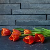 Thin Brick Veneer