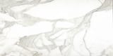 Calacatta 24x48 Field Lappato