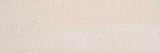 5102 Vivid White 8x24 Field Smooth (V)