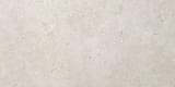 Light Grey 12x24 Field Natural