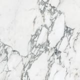 Arabescato Corchia 24x24 Field Rectified Honed