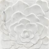 Volakas White 12x12 Rosa Field High Honed