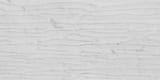 Bianco Carrara 12x24 Forest By Lori Weitzner Decorative Field Mixed