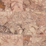Breccia Pernice 12x24 Field Honed