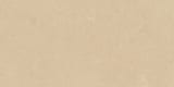 ARG01 Winter Garden 12x24 Field Unpolished