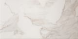 Calacatta 12x24 Field Lappato
