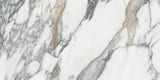 Arabescato Corchia 12x24 Field Rectified Honed