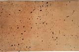 Available in all colors and finishes (shown in Cafe Olay) 8x12 Field Travertine