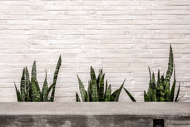Thin Brick Veneer