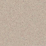 A233 Sand Bisque 12x12 Field Unpolished