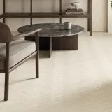 Varana Stone